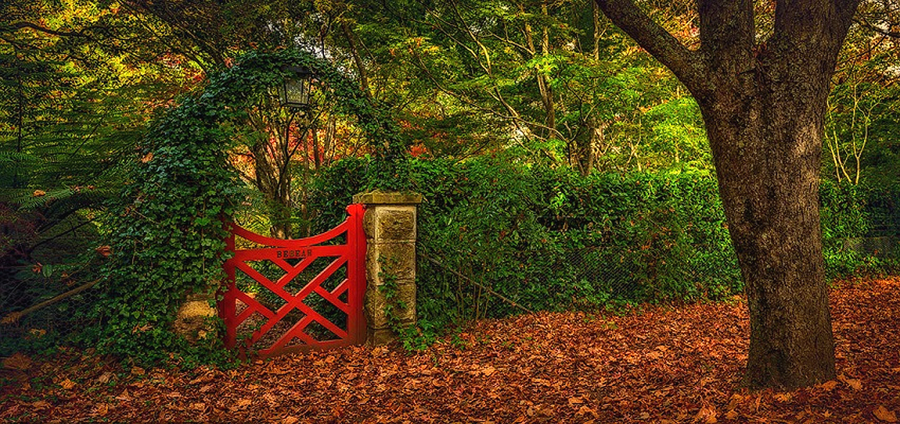 Garden back gate